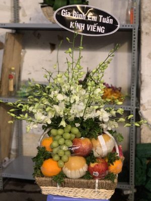 Giỏ trái cây - 28