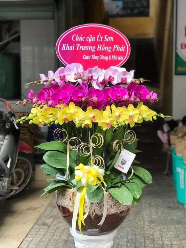 Shop Hoa Tươi Dương Minh Châu, Tây Ninh