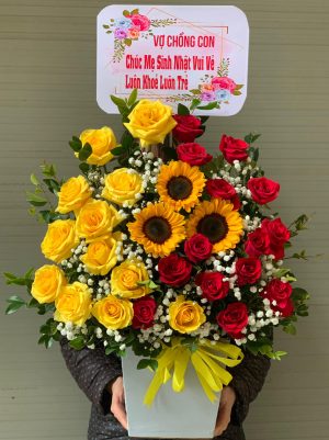 Shop Hoa Tươi Hoà Thành, Tây Ninh